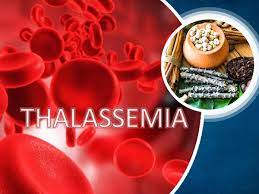 The Prevalence of Thalassemia in Cousin Marriages Worldwide: Understanding the Risks and Importance of Genetic Counseling