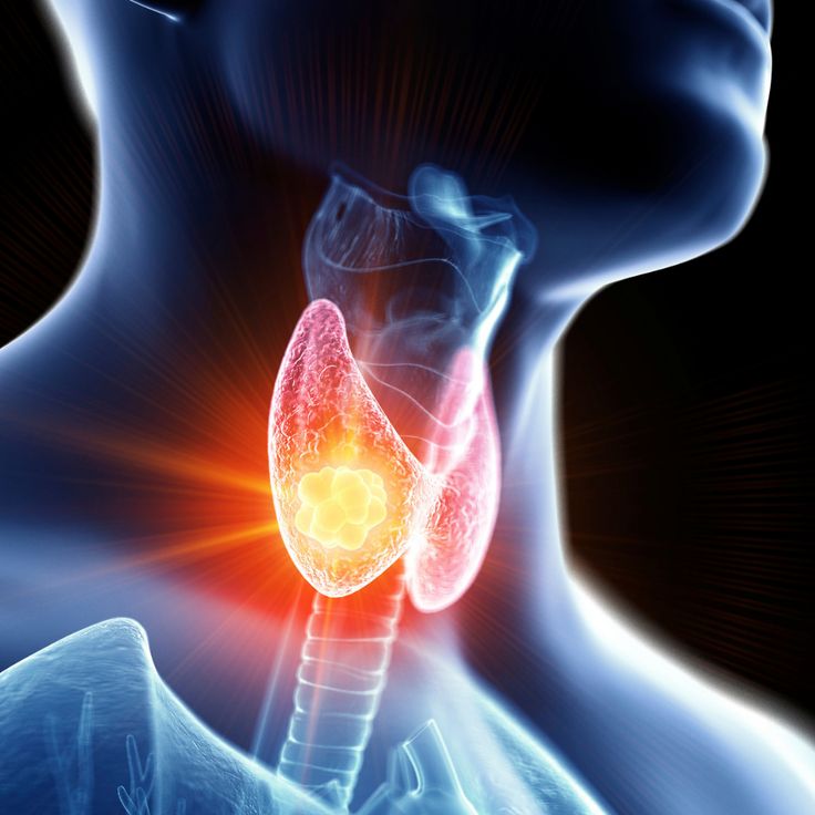 “The Thyroid Powerhouse: Unlocking the Secrets of Thyroxine (T4)”